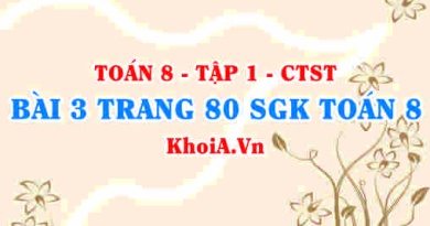 Bài 3 trang 80 SGK Toán 8 Tập 1 Chân trời sáng tạo